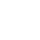 check-icon